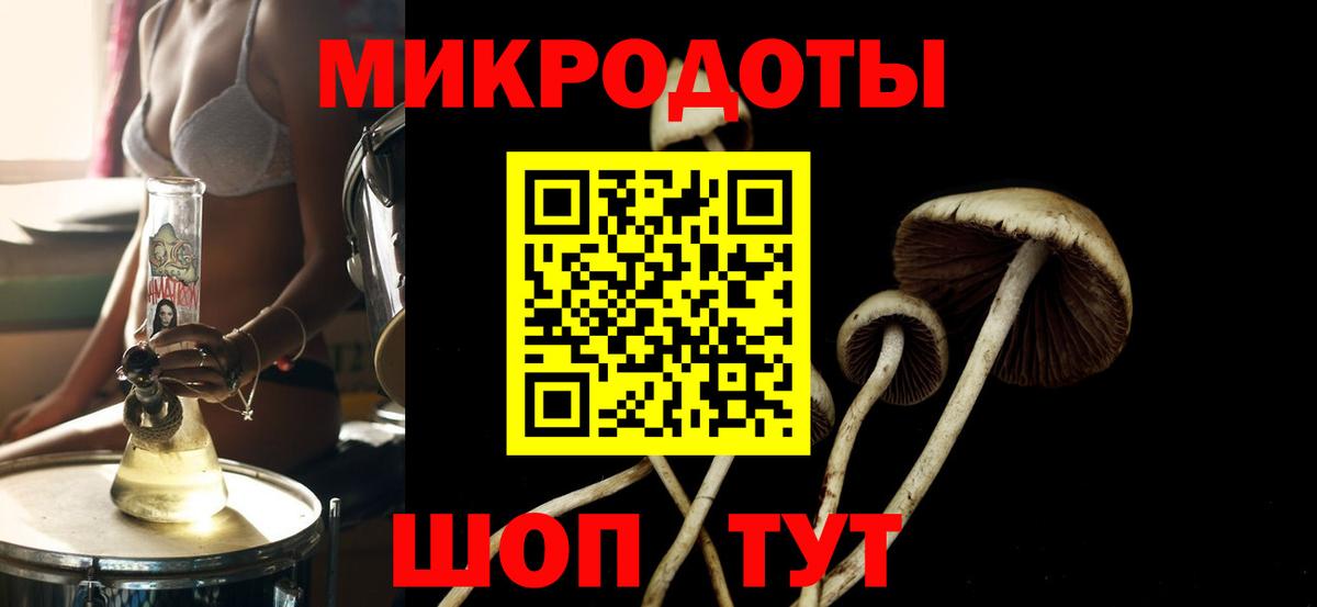 Гагарин  Псилоцибиновые грибы прущие грибы  дарнет шоп  Вход с VPN 